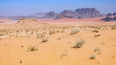 Amanda Ruggeri In parts of the desert, you can see white, yellow, red and purple sand all at once (Credit: Amanda Ruggeri)