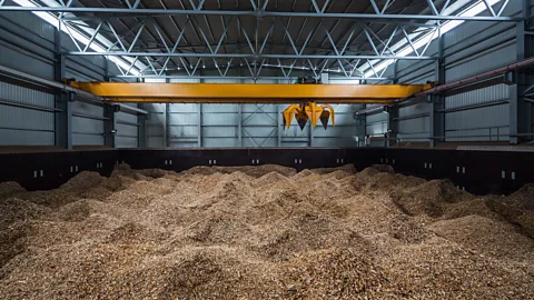 Getty Images To generate electricity from biomass, food chips are crushed into powder, which is then fed into the incinerator (Credit: Getty Images)