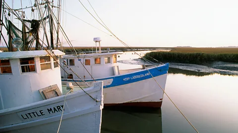 KC Shields/Alamy A changing environment has made it difficult for the Gullah Geechee to continue to rely solely on the land for sustenance (Credit: KC Shields/Alamy)