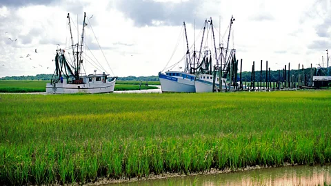 The sinking islands of the Southern US