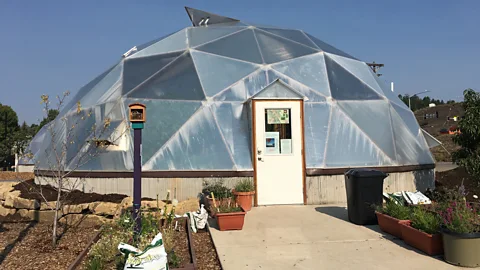 Daliah Singer Vegetables grown inside of this greenhouse helped feed local children this summer (Credit: Daliah Singer)