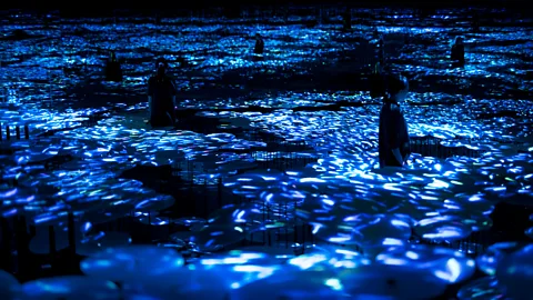 Mori Building Digital Art Museum/teamLab Borderless, 2018, Odaiba, Tokyo The Way of the Sea in the Memory of Topography – Colours of Life (Credit: Mori Building Digital Art Museum/teamLab Borderless, 2018, Odaiba, Tokyo)