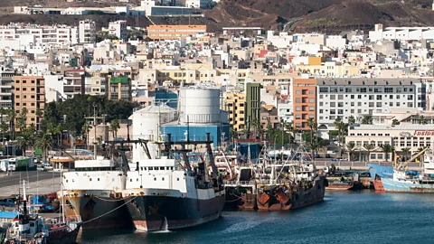 G.I. Dobner/Alamy The Canary Islands were strategically important for the British shipping industry as the last fuelling port before the Atlantic crossing (Credit: G.I. Dobner/Alamy)