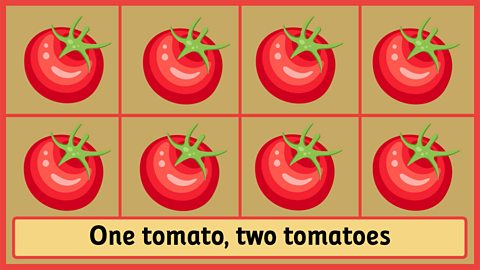 One tomato, two tomatoes