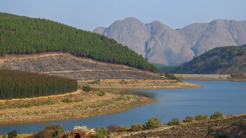 Iga Motylska Gold was discovered in South Africa's Makhonjwa Mountains in 1884
