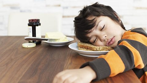 Boy napping at the table after a meal