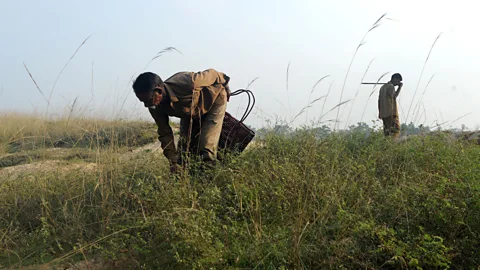 ARUN SANKAR/Getty Images Irulas used to be viewed with suspicion by other communities in the region due in part to their work with snakes (Credit: ARUN SANKAR/Getty Images)
