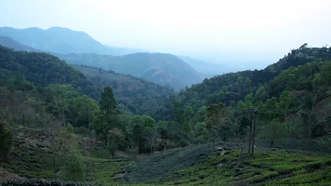 Kalpana Prodhan Makaibari chairman, Rajah Banerjee: "Healthy soil is healthy mankind." (Credit: Kalpana Prodhan)