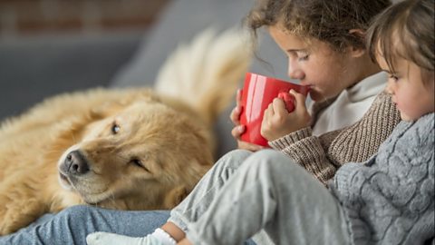 Two children drinking hot chocolate on the sofa with a dog