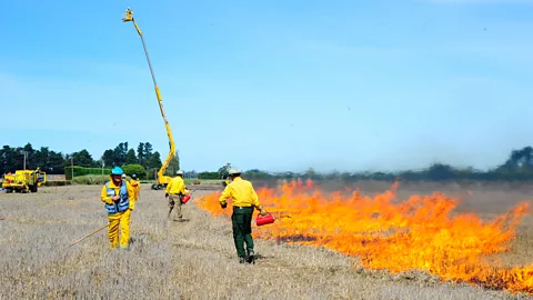 Ian Grob/US Forest Service The US Forest Service takes special precautions to ensure that its test fires do not run out of control (Credit: Ian Grob/US Forest Service)