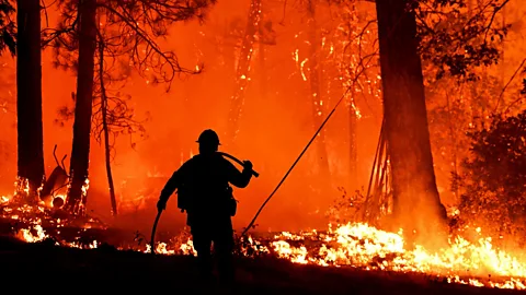 Josh Edelson/AFP/Getty Images Our current techniques to predict the spread wildfires are relatively crude, making firefighters' jobs even harder (Credit: Josh Edelson/AFP/Getty Images)