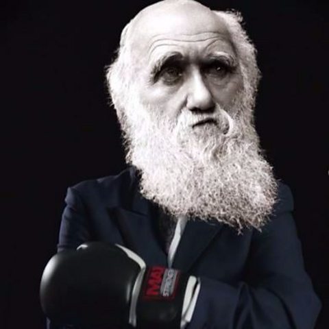 Charles Darwin - creator of the theory of evolution by natural selection