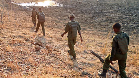 Rachel Nuwer On an unusually quiet morning, the rangers investigate a water hole for elephants (Credit: Rachel Nuwer)