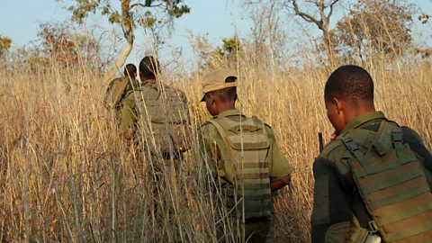Rachel Nuwer The Akashinga rangers often undertake rugged patrols, covering 12 miles or more every day (Credit: Rachel Nuwer)