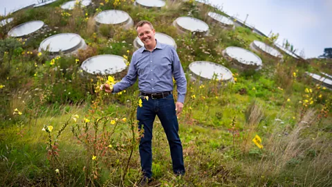 Kathryn Whitney/California Academy of Sciences (Credit: Kathryn Whitney/California Academy of Sciences)