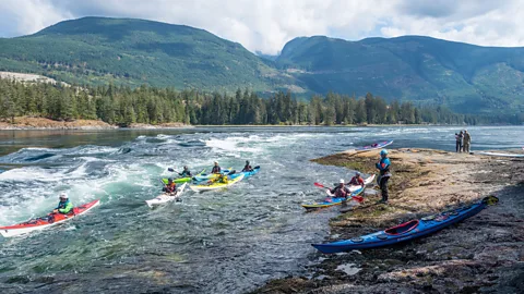 Diane Selkirk The name of one of Canada’s most famous tidal rapids, Skookumchuck Narrows, was derived from the nearly forgotten Chinook Wawa language (Credit: Diane Selkirk)