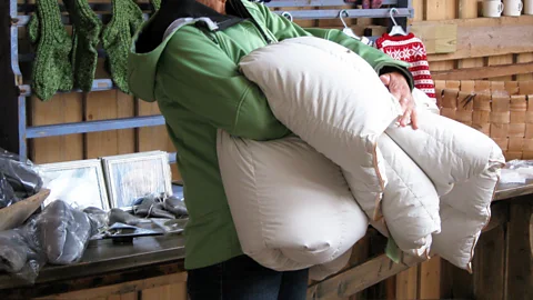 Meg Lukens Noonan An eiderdown duvet can sell for more than $15,000 (Credit: Meg Lukens Noonan)