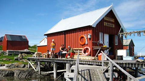 Meg Lukens Noonan Visits to Lånan during nesting season are limited but a few guests are welcome (Credit: Meg Lukens Noonan)