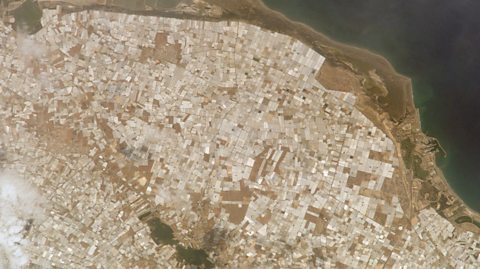 A photo of the greenhouses at Almeria taken from the International Space Station