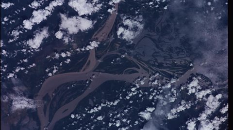 A photo of the Amazon River taken from the International Space Station