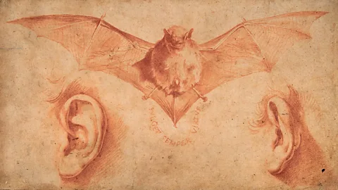The Metropolitan Museum of Art/Art Resource/ Scala, Florence Ribera’s A Bat and Two Ears (early 1620s) contains an inscrutable symbolism (Credit: The Metropolitan Museum of Art/Art Resource/ Scala, Florence)