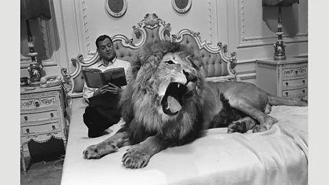 Orlando Suero (Credit: Orlando Suero)