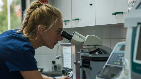 A young woman, Lucy, using a microscope