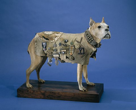 Sergeant Stubby model