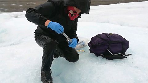 A scientist collecting samples in the Artic