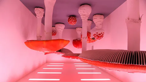 Getty Carsten Holler’s Upside Down Mushroom Room, 2000, has a ceiling hung with agarics (Credit: Getty)