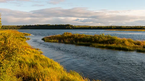 Getty Images The villages on the Naknek River of Alaska were hard hit by the sudden arrival of the flu (Credit: Getty Images)