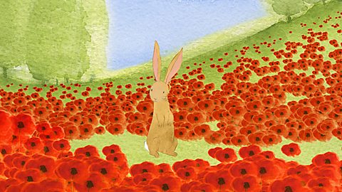 CBeebies: Poppies