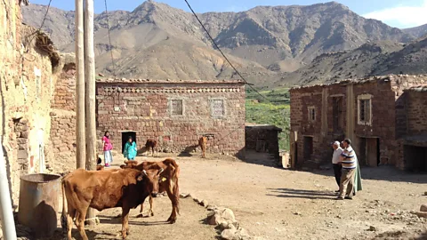 Liza Foreman Today, Idihr looks almost identical to the Oxford students’ images from the book (Credit: Liza Foreman)