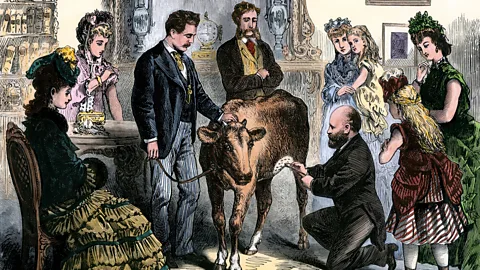 Alamy In the 1800s, people were inoculated against smallpox by infecting them with cowpox, which was a far less serious disease and which then conferred immunity (Credit: Alamy)