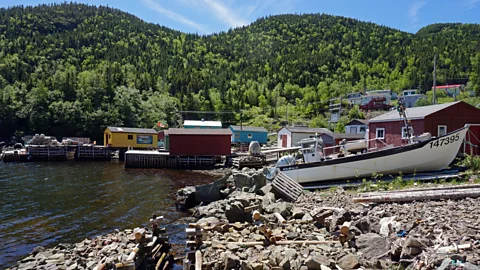 Suchi Rudra Writer Suchi Rudra was welcomed to Newfoundland, Canada’s Baie Verte peninsula in a rather peculiar way (Credit: Suchi Rudra)