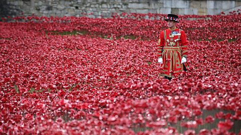 The WW1 art installation Blood Swept Lands and Seas of Red