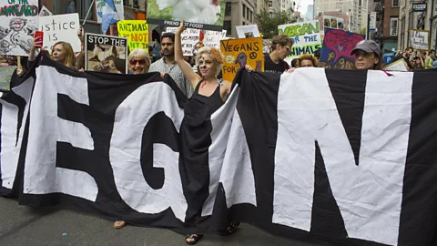 Getty Images One 2018 study calculated that per 100g of protein, beef producers could use as much as 370 square metres of land and 105kg of CO2 equivalents (Credit: Getty Images)