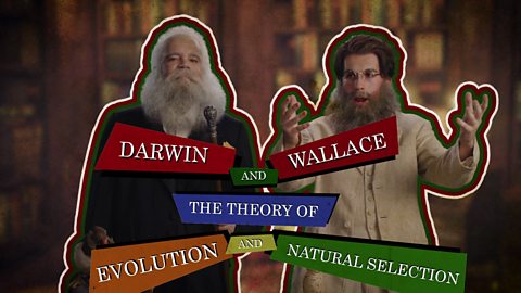 The work of Charles Darwin and Alfred Wallace