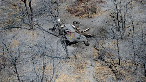 Getty Images Machine vision can spot poachers from drone footage, helping to prevent wildlife crime (Credit: Getty Images)
