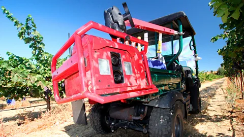 Efficient Vineyard Project By analysing grape quality and foliage levels on vines with machine vision, AI algorithms can help managers improve wine quality (Credit: Efficient Vineyard Project)