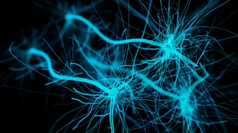 Getty Images Neural networks are modelled on the structures in the human brain (Credit: Getty Images)