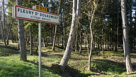 imageBROKER/Alamy Nine French villages, including Fleury-devant-Douaumont, were destroyed during the Battle of Verdun (Credit: imageBROKER/Alamy)