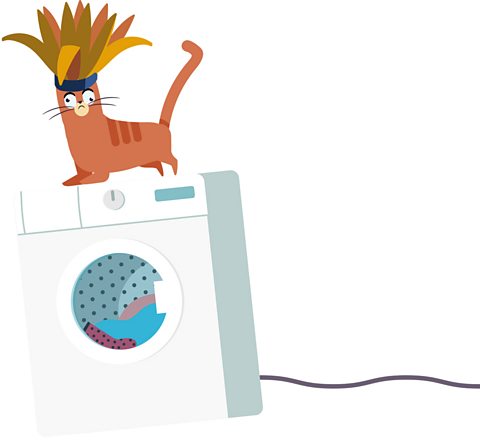 Chippy the cat wearing a carnival headdress on top of a washing machine