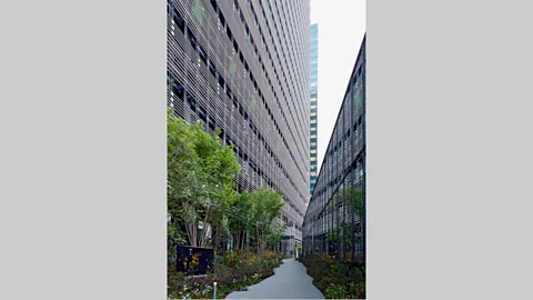 Yutaka Suzuki Sony City acts like a ‘natural forest’ (Credit: Yutaka Suzuki)