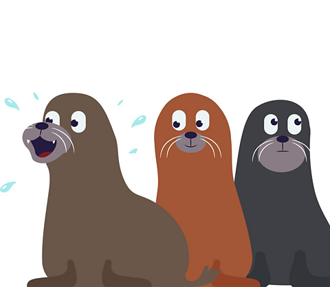 three sealions. one looks excited, one looks interested and one looks distracted.