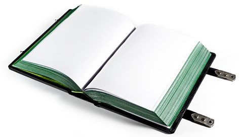 A book is shown open; its pages are blank but have been edge stained green.