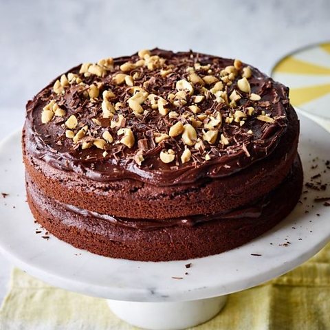 Chocolate peanut butter cake