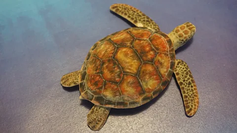 MIT While making a turtle look like a rifle to a machine learning algorithm seems benign, researchers fear it could have consequences as AI is used in the real world (Credit: MIT)