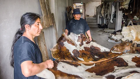Paul Stewart Today, Luis Yamberla Cacuango and his family are the only leather artisans in Cotacachi who use an ancient tanning recipe (Credit: Paul Stewart)
