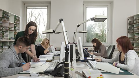 Group of young adults working at computers in a small office